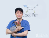 [송인수 수의사 반∙동∙건 칼럼] 반려동물에게 가장 많은 암 유선종양, 기억해야