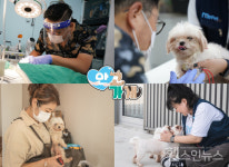 번식농장에서 구조된 개들 안고가게