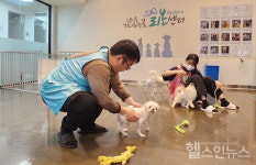 대웅펫, 유기 동물들에 따뜻한 손길…강동 리본센터 봉사활동 진행