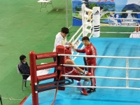 신순철용인대복싱클럽, 국가대표 및 신인선수권 우승자 배출