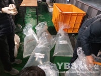 경기도해양수산자원연구소, 빙어 부화자어 130만 마리 공공용 수면 11곳에 방류나서