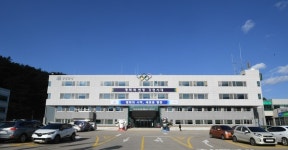 평창군 밭작물 이식기 20대 조기 확보 무상임대 농가 경영난 해소