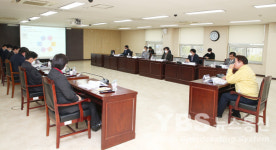 최대호 시장 자율주행 기업 안양시 정착 미래먹거리 찾겠다 강조