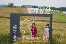 해남군, 코로나로 답답한 마음, 해남에서 힐링하세요