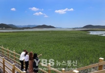【포토】 초록세상 강진만생태공원