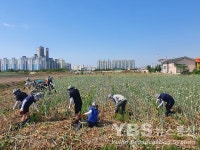 경산시 한국산업단지공단(KICOX), 코로나19 극복을 위한 농촌일손돕기 추진
