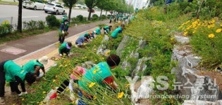 오산시 새마을회, 유엔군초전기념관 주변 환경정화 활동 구슬땀