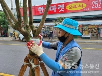 수원시 도시 숨쉬게 하는 가로수 시민과 함께하는 표찰 달기 행사
