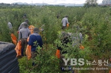 진량읍, 민·관·군 합동으로 수해복구 작업 실시