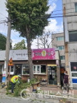 경주시, 재해 대비 가로수 전정 작업 시행