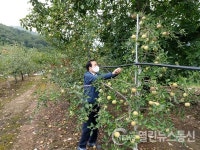 김주수 의성군수, 사과 탄저병 확산에 따른 현장방문