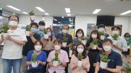 원주시 중앙동 행정복지센터, 청렴 화분으로 청렴의 꽃이 되자