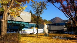 영월군보건소, 치매 진단·감별검사 비용 지원