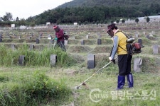 장흥군, 코로나19 차단 벌초대행 나서