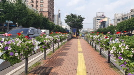 금천구, 시흥대로 가을꽃 걸이화분 설치…도심거리 활기