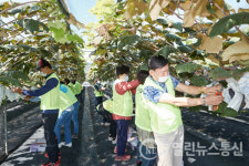 용인시의회, 추석앞두고 백암면 포도농장서 농촌봉사 나서