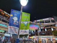 안양시 범계 로데오거리 카카오톡 플로스친구 안이와 양이가 살린다