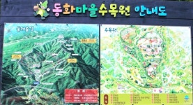 문막 동화마을수목원, 올 가을 지친 몸과 마음에 위로를 받을 수 있는 곳은 바로 여기!