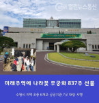수원시 나라꽃 무궁화 초중 학교 뜰에 심었다