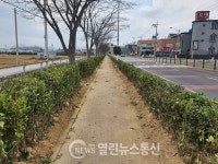 해남군, 가로수를 도로공원으로... 아름다운 가로경관 만들기