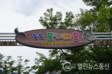 홍천군, 숲속 동키마을 수탁운영자 모집