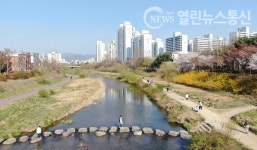 안양구경 대변화 안양천·평촌1번가 문화의거리 추가됐다