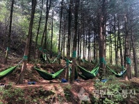 올봄 힐링 여행은 국립산림치유원에서