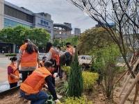 평택시 시민정원 2호 평택역 서부광장 생활밀착형숲 조성 완료