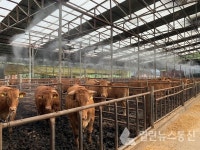 용인시, 8월31일까지 폭염 축사농가 피해 예방활동 벌여