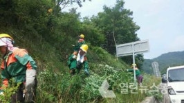 봉화군, 도로변 산림환경 정비  시행