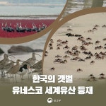 서천·신안·고창·순천 'Getbol'(갯벌), 유네스코 등재...정부, 