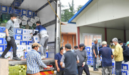 최승준 정선군수, 임계지역 고랭지 풋고추 출하 현장 청취·소통행정 나서