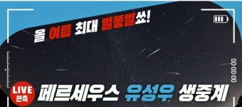 [영상] 페르세우스 유성우 관측 생중계...