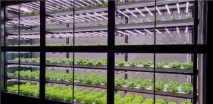 부산시 농업기술센터, 거제해맞이 역 유휴공간 수직농장 레일팜을 조성