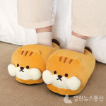 ㈜아성다이소, 애타게 찾던 그 인형이 돌아왔다! 가을시즌 기획전 진행