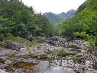 영월군, 내리계곡‧미사리계곡‧뱀골계곡 자연휴식년제 시행
