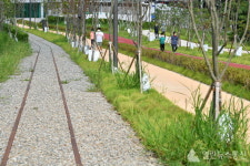 수원시 수인선 개통 1년 고색·오목 남부권 심장이 뛰고 있다