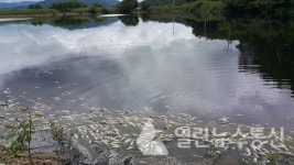 상주시, 축산 분뇨 무단 배출 돈사허가취소 소송 1심 승소