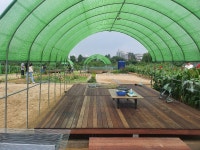 2021년 금천 힐링가족 캠핑농장 개장