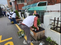 의정부시 치매안심센터, 치매안심마을 꽃길  조성