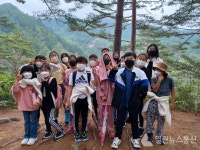 월송초,가을현장체험학습으로 금강송 숲길걷기 체험