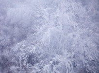 무주의 계절이 돌아왔다...무주덕유산리조트는 겨울왕국 준비 한창