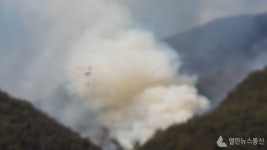 영월군 김삿갓면 산불 긴장 늦추지마 905명‧헬기 11대 투입 진화 나서
