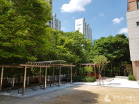 안양시, 학교숲 조성사업 올해도 계속