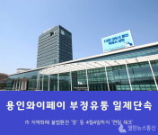 용인시, 4월4일까지 지역화폐 용인와이페이 부정유통 일제단속