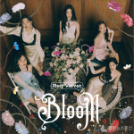 [공식]레드벨벳 日 첫 정규 앨범 Bloom 4월 6일 발매!