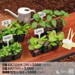 ㈜아성다이소, 나만의 정원에서 가꾸는 싱싱한 봄! 원예용품 대전 진행