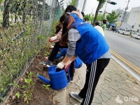 [기획보도] 깨끗한 구미 만들기 새벽을 여는 사람들