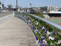 안성시, 주요 도로변 걸이화분 설치 화사한 봄 선물