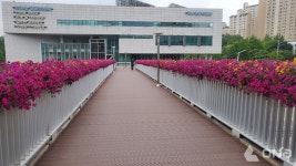 안양시, 교량·육교 난간 16곳 여름꽃 박스 설치